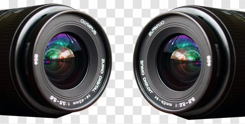 Photography Selfie Photo Shoot Facebook Video - Tree - Symmetrical Camera Lens Transparent PNG