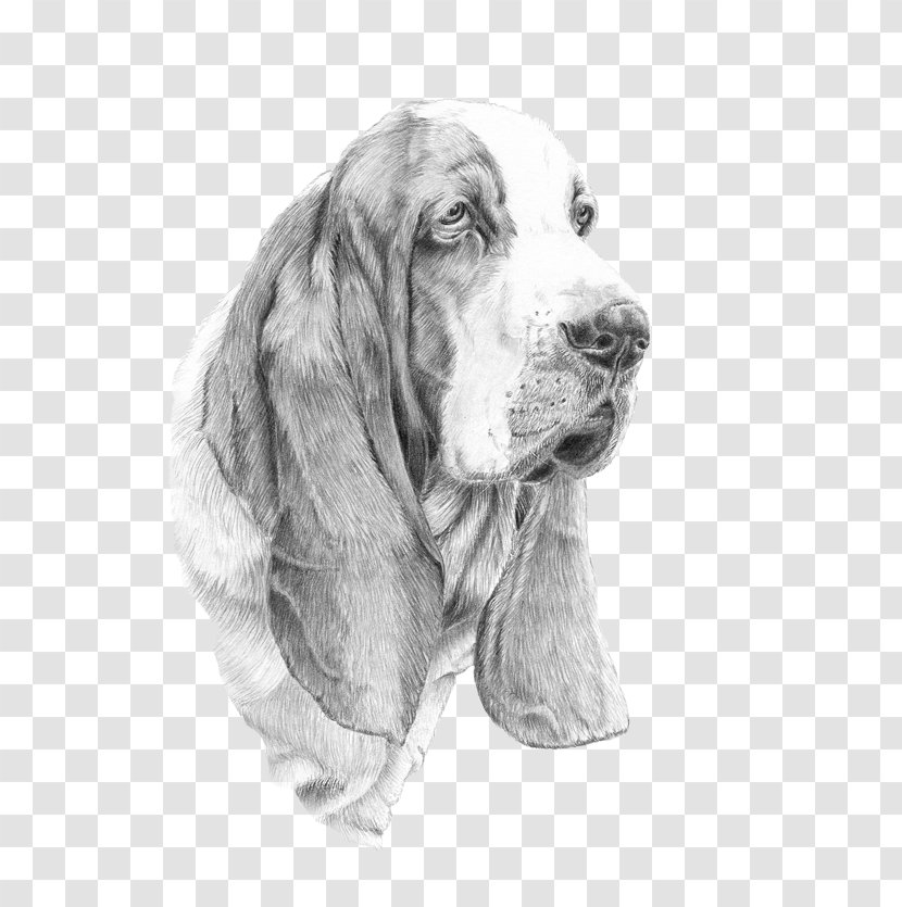 Sussex Spaniel Basset Hound Dog Breed IPhone 6 - Dogo Argentino Transparent PNG