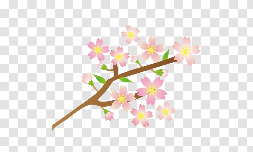 Flower Branch Illustration. - Plant Stem - Cherries Transparent PNG