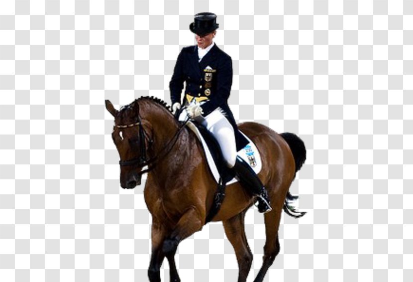 Horse Olympic Games 2008 Summer Olympics 2012 Dressage Transparent PNG