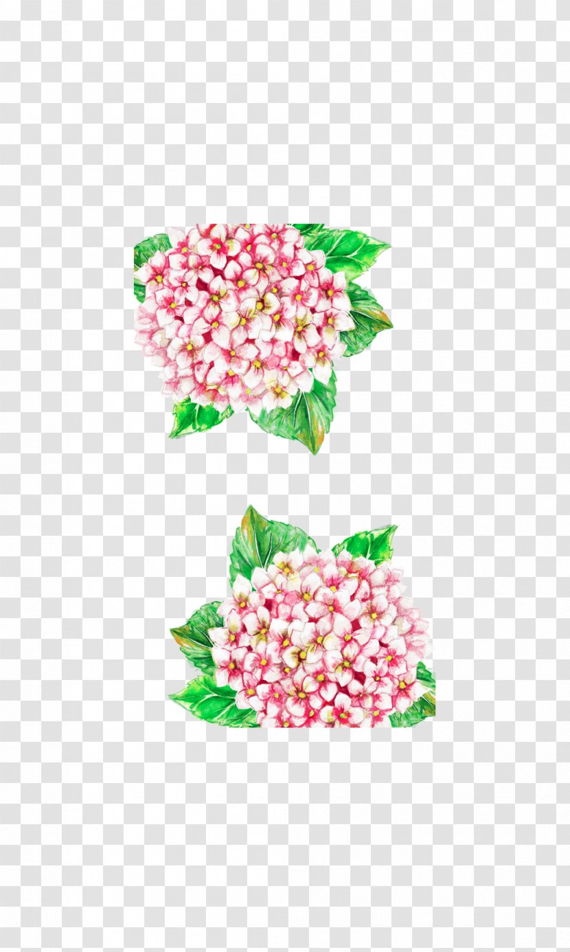 Cut Flowers Floral Design Hydrangea Petal - Plant Transparent PNG