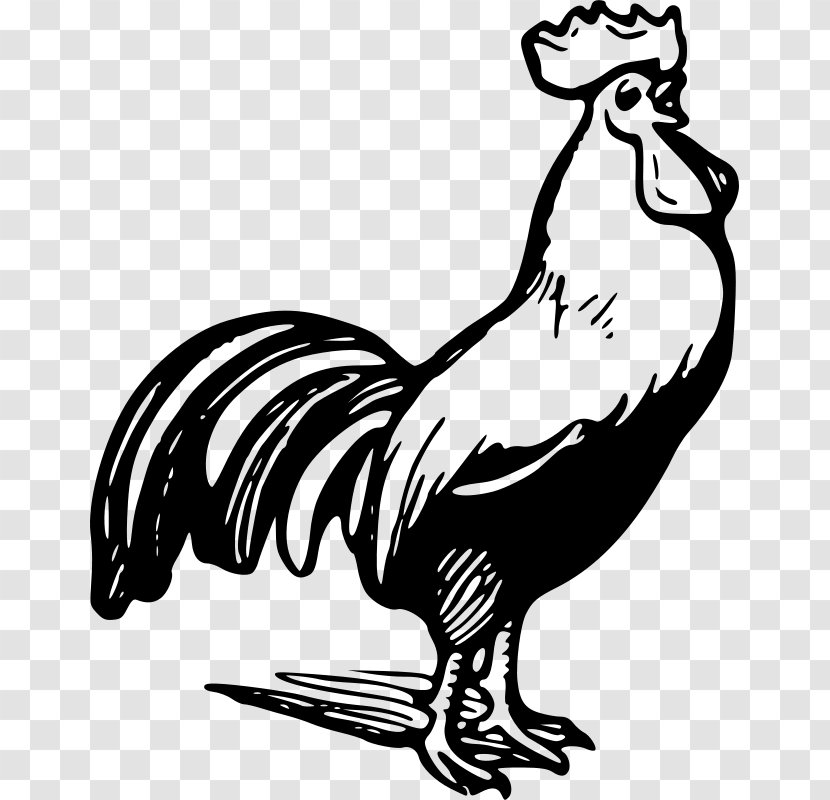 Rooster Clip Art - Monochrome Photography - Wildlife Transparent PNG