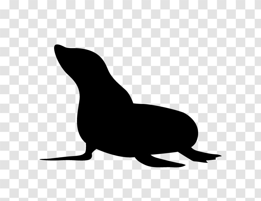 Sea Lion Earless Seal Silhouette Whiskers Clip Art - Fauna Transparent PNG