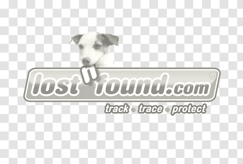 Dog Breed Italian Greyhound Logo Brand Transparent PNG