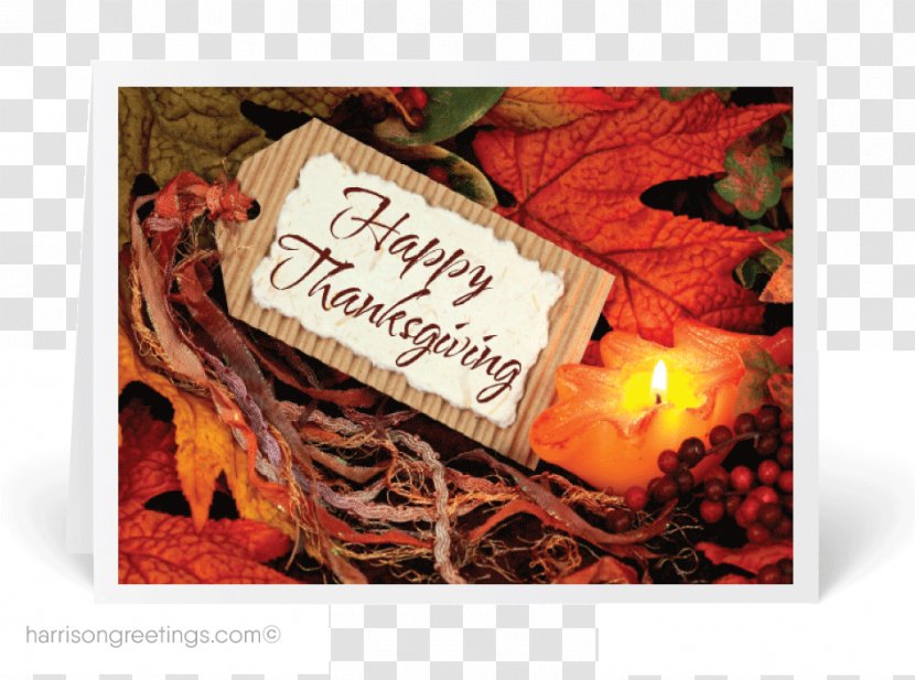Greeting & Note Cards Thanksgiving Transparent PNG
