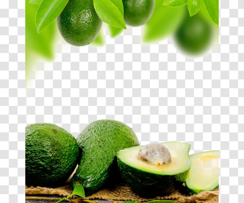 Avocado Oil Food Google Images - Persea - Green Transparent PNG