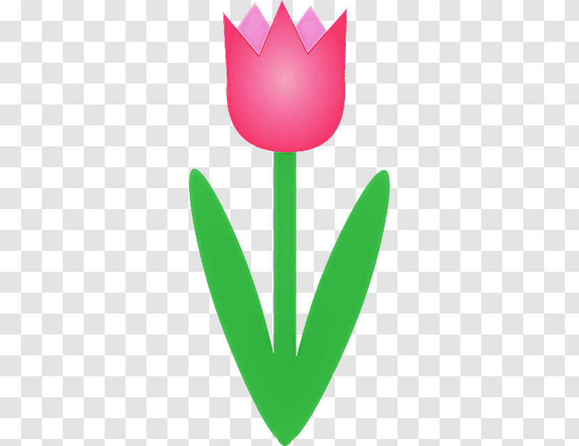 Tulip Logo Leaf Plant Flower Transparent PNG
