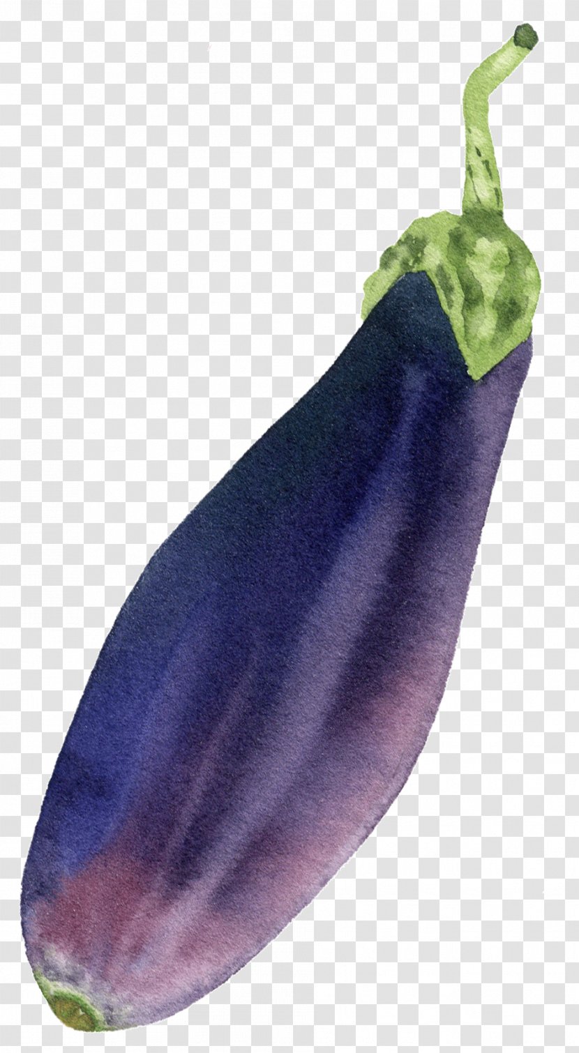 Eggplant Vegetable Purple Food Plant - Chili Pepper - Pasilla Transparent PNG