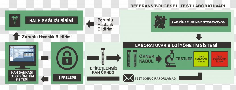 Laboratory Information Management System Blood Bank Diagram Transparent PNG