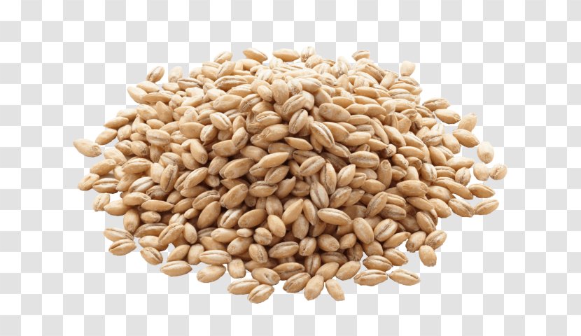 Organic Food Pearl Barley Cereal - Seed Transparent PNG