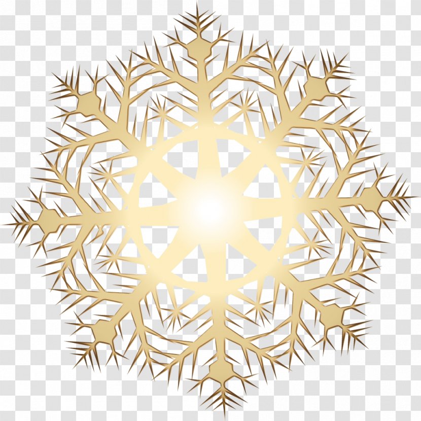 Snowflake - Symmetry - Ornament Transparent PNG