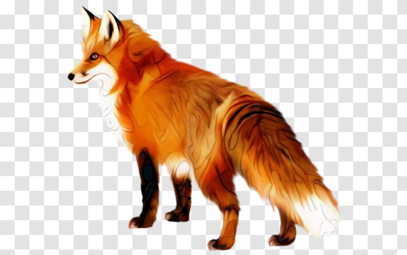 Clip Art Arctic Fox Transparency - Red - Dhole Transparent PNG