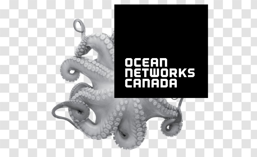 Ocean Networks Canada Earth University Of Victoria Pacific Salish Sea Transparent PNG