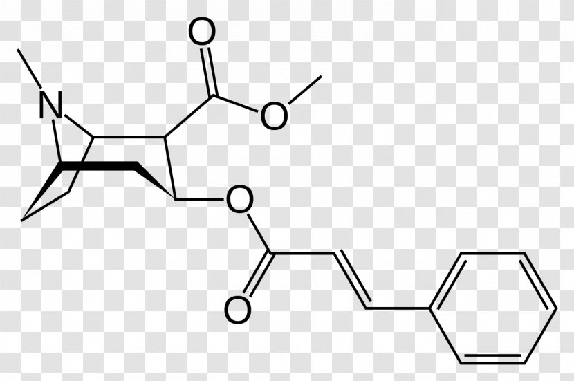 Methylecgonine Cinnamate Tropane Alkaloid Cinnamic Acid - Diagram - Symmetry Transparent PNG