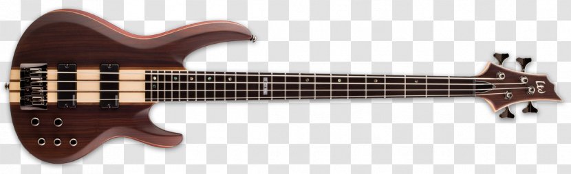 ESP Guitars Bass Guitar Electric Double - Watercolor - Shipping Bridge Construction Transparent PNG