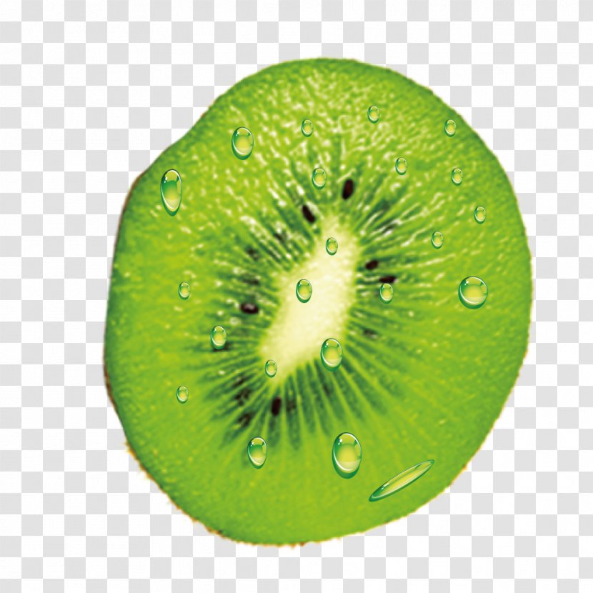 Kiwifruit Green Clip Art - Vecteur - Vector Kiwi Transparent PNG