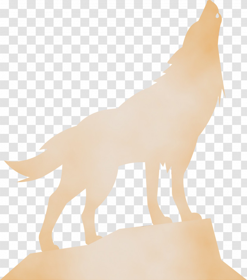 Tail Sporting Group Fawn Transparent PNG