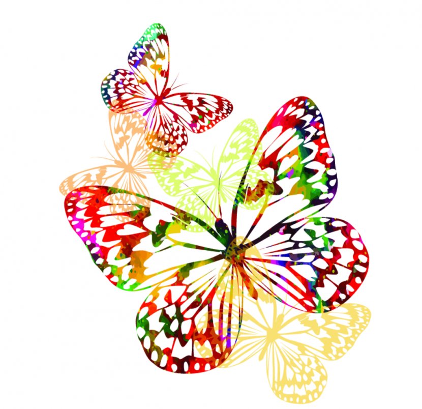 Monarch Butterfly Insect Clip Art - Brush Footed Transparent PNG