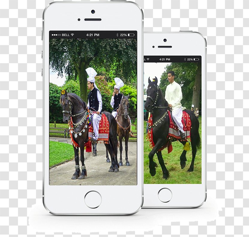Horse Portable Communications Device Wedding Handheld Devices Gadget - Communication - Carriage Transparent PNG