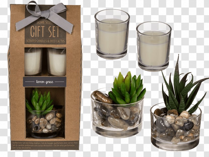 Candle Gift Party Vanilla Birthday - Cymbopogon Citratus Transparent PNG