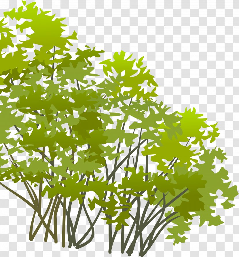 Clip Art Branch Shrub Tree - Cloud - Flora Transparent PNG