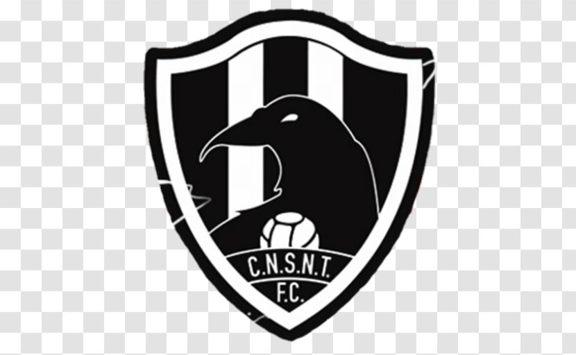 Mexico Football Liga MX Common Raven Jersey - Brand Transparent PNG