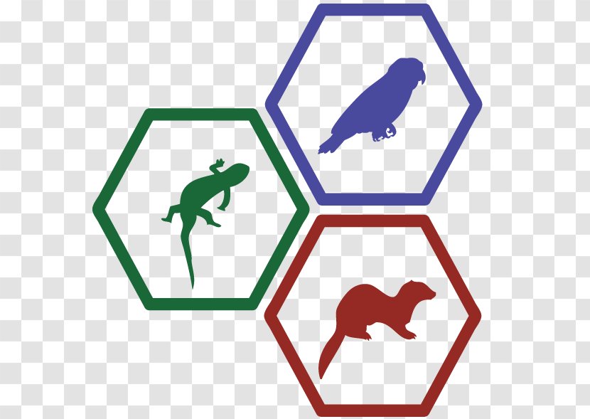 Technology Science Organization Hexagon Mirror - Frog - Exotic Transparent PNG