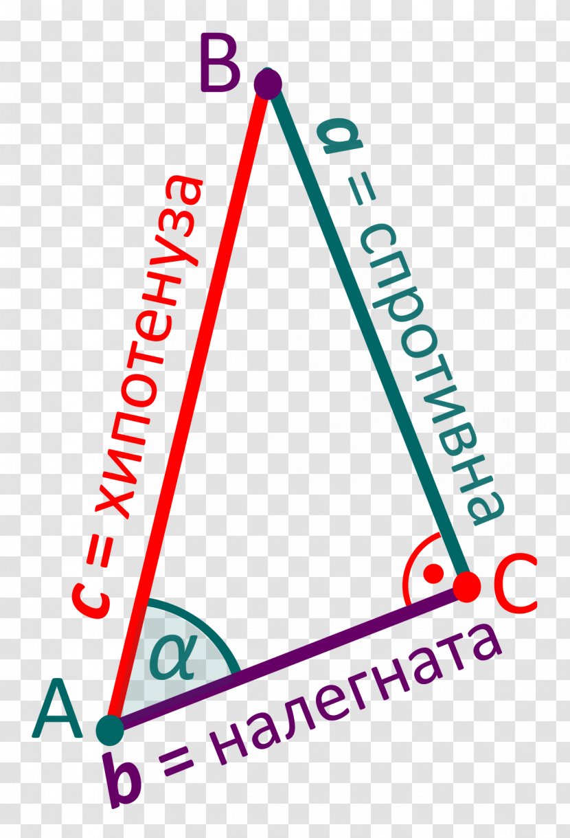 Triangle Trigonometry Logo Area - Angle Transparent PNG