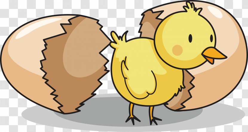 Chicken Clip Art Vector Graphics Egg Image - Drawing Transparent PNG