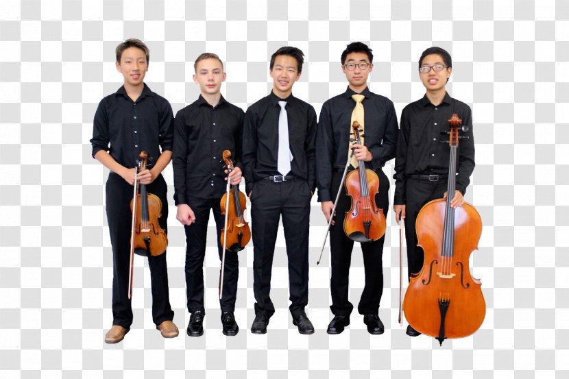 Cello Musical Instruments Violin Stony Brook University - Tree - Kevin Owens Transparent PNG