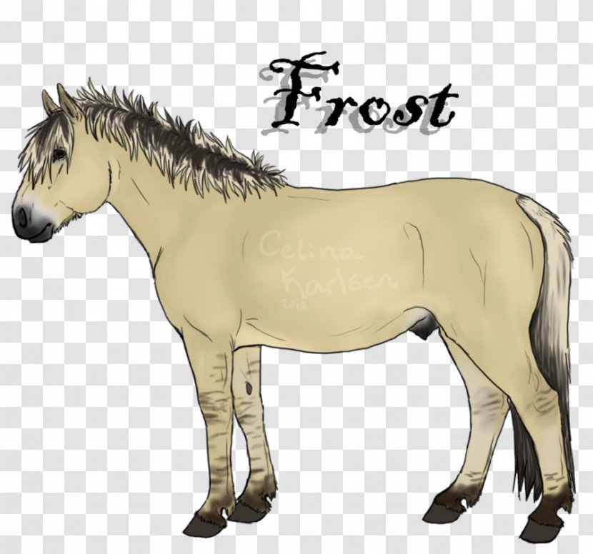 Mule Stallion Pony Mare Mustang - Horse Like Mammal Transparent PNG