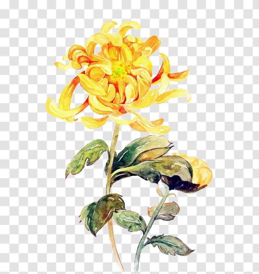 Watercolor Painting Chrysanthemum Art - Flowering Plant - Hand Painted Yellow Transparent PNG