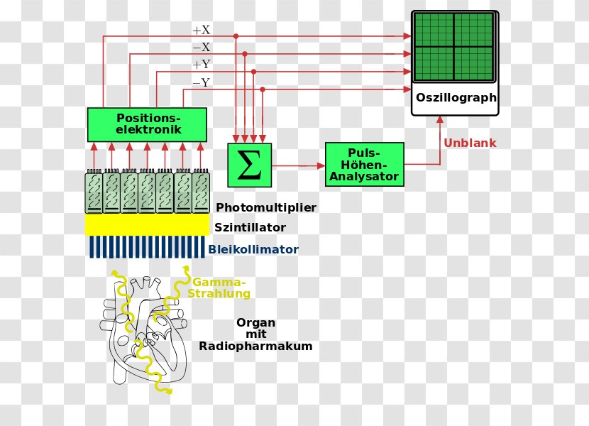 Gamma Camera Diagram Nuclear Medicine Video Cameras - Collimator - Text Block Transparent PNG