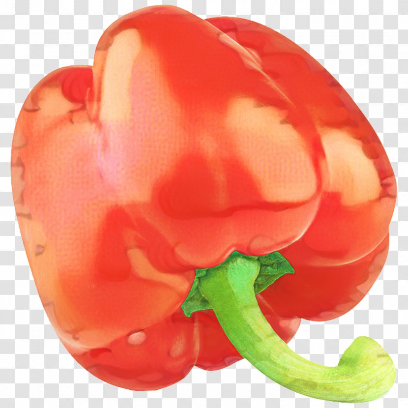 Vegetable Cartoon - Plant - Fruit Nightshade Family Transparent PNG
