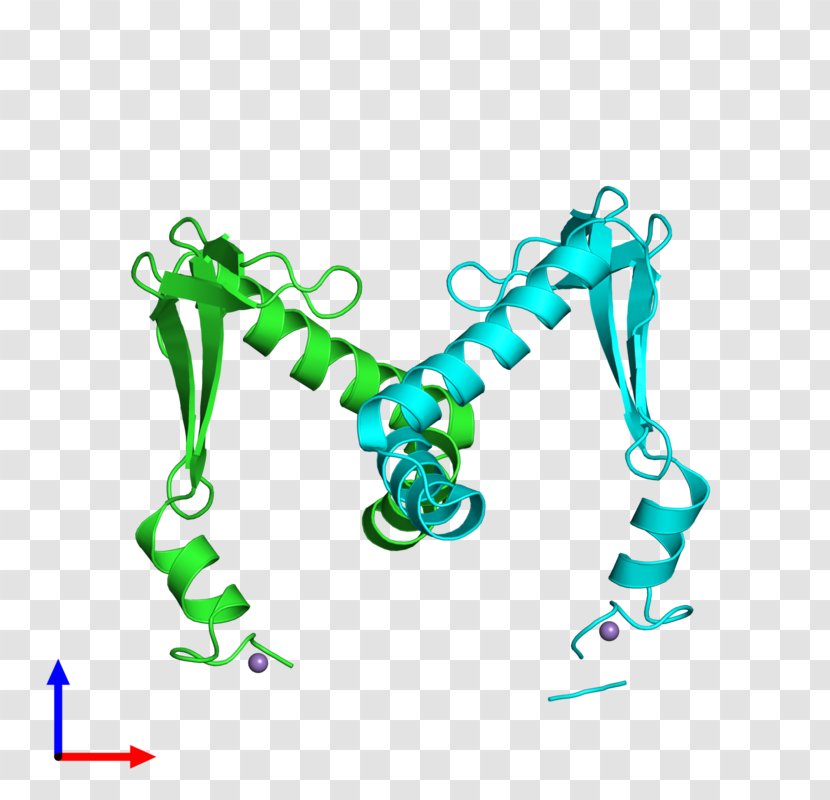 Logo Clip Art - Diagram - Highprotein Diet Transparent PNG