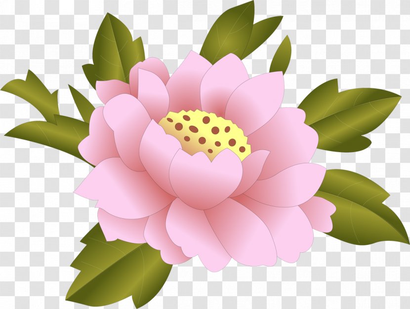 Nelumbo Nucifera Clip Art - Sacred Lotus - Floristry Transparent PNG