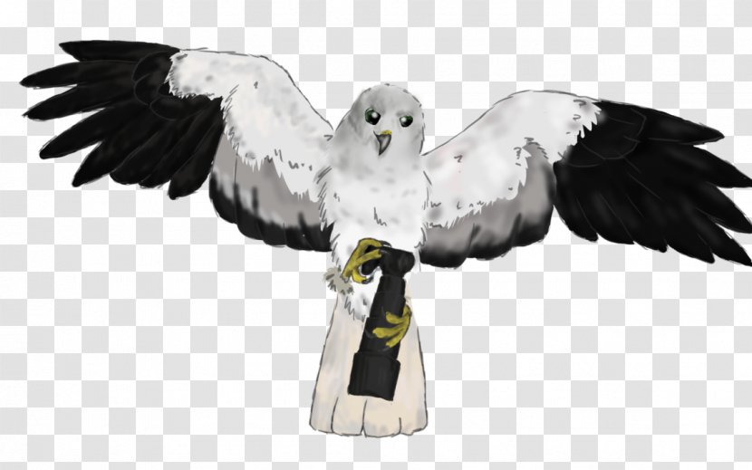 Eagle Owl Beak Feather Falcon Transparent PNG