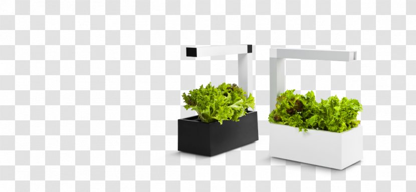 Flowerpot Kitchen Garden Table Light Herb - Lightemitting Diode Transparent PNG