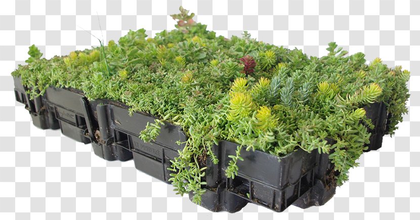 Green Roof Garden Tray Lakefront Roofing & Siding Supply Transparent PNG