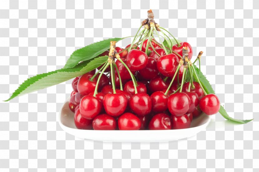 Cherry Organic Food Cranberry - Orchard Transparent PNG
