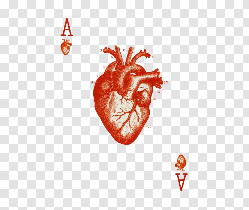 Ace Of Hearts Playing Card Cribbage - Watercolor - Suit Transparent PNG