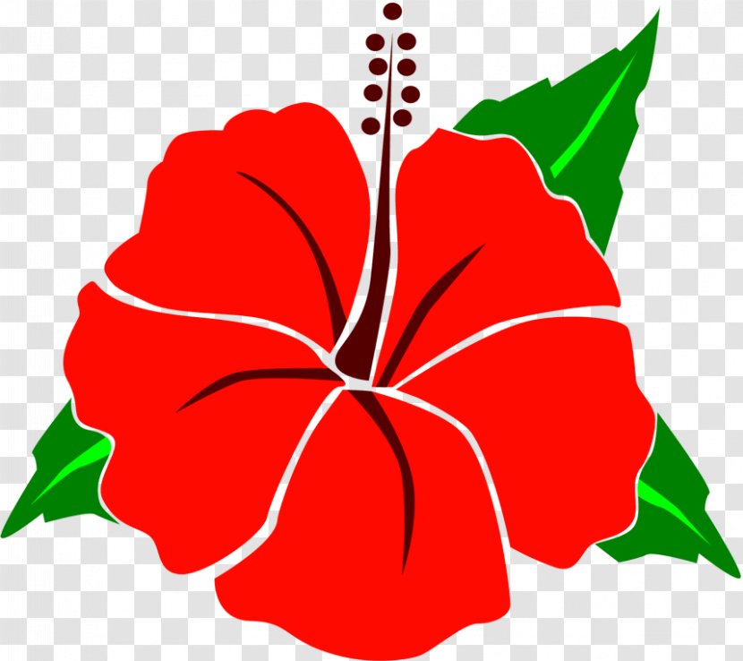Rosemallows Floral Design Petal Plant Stem Clip Art - Seed - Leaf Transparent PNG