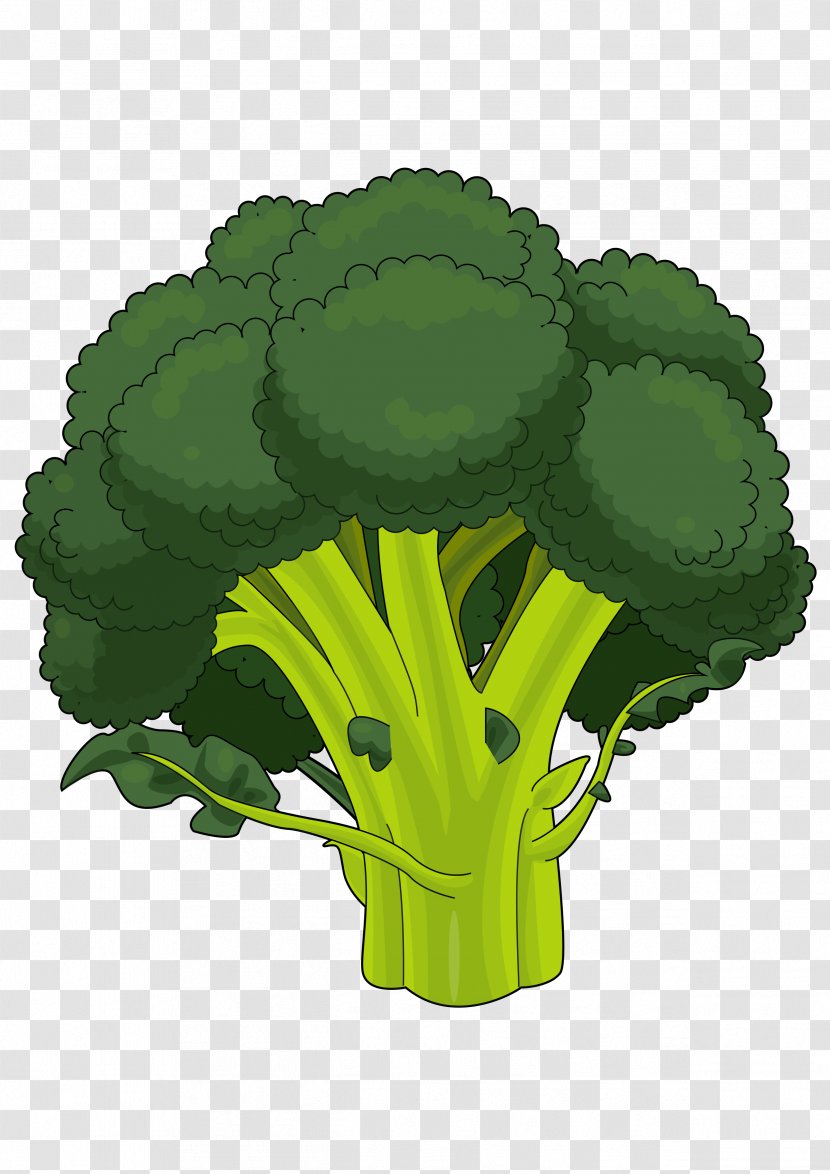 Broccoli Drawing PDF Cauliflower - Tree Transparent PNG