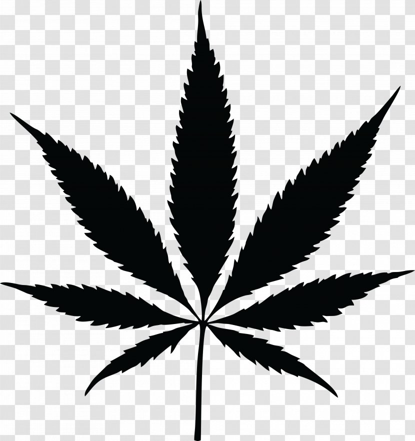 Cannabis Sativa Drawing Smoking - Leaf Transparent PNG