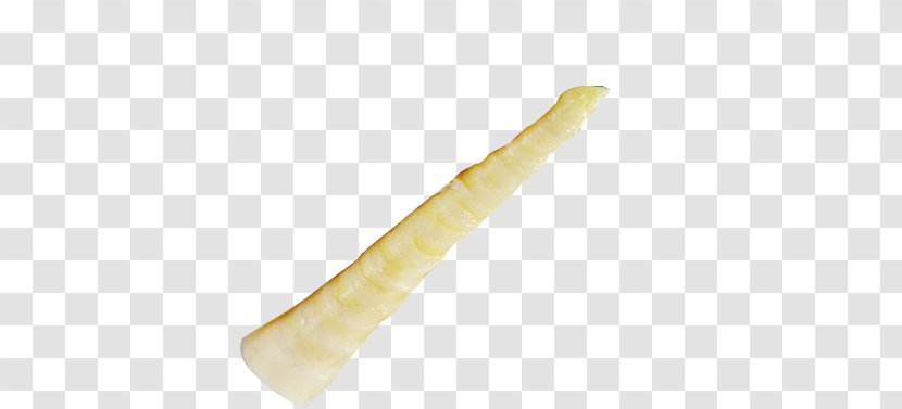 Finger - Food - A High-definition Image Of Fresh Bamboo Shoots Transparent PNG