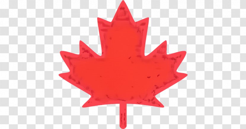 Canada Maple Leaf - Day - Plane Plant Transparent PNG