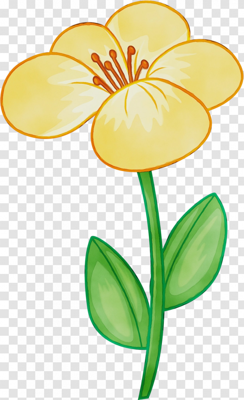 Flower Yellow Plant Petal Pedicel Transparent PNG