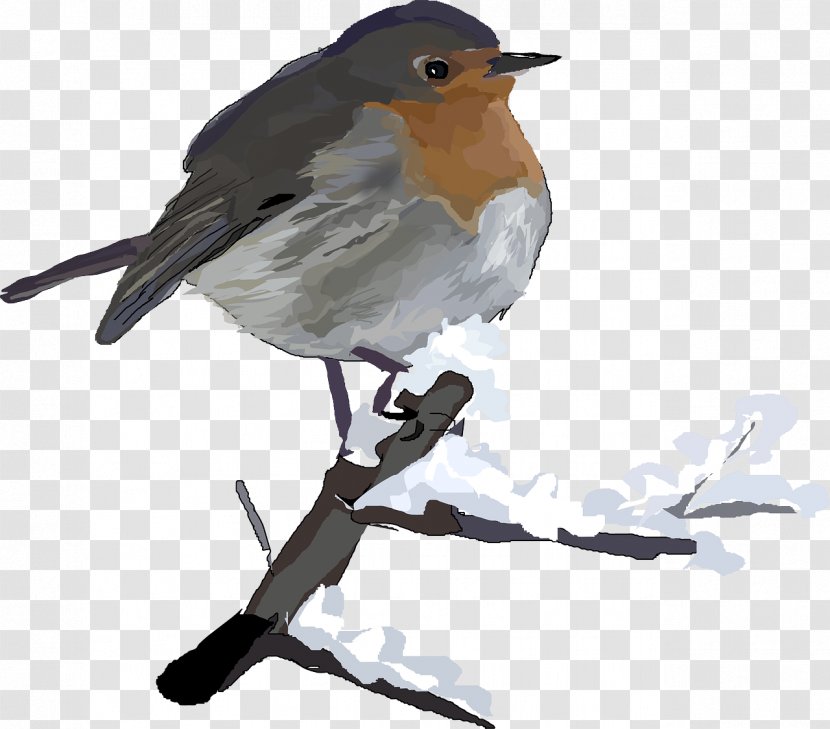 American Robin Christmas Clip Art - Winter Birds Transparent PNG