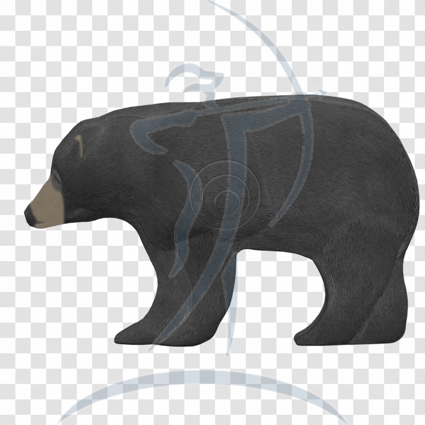 Bear Hunting Crossbow Kruisboogschieten - Terrestrial Animal Transparent PNG