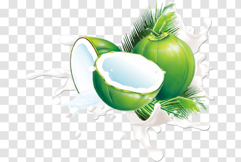 Juice Coconut Milk Fruit - Jus Dananas - Material Transparent PNG